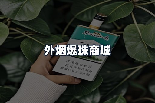 外烟爆珠商城